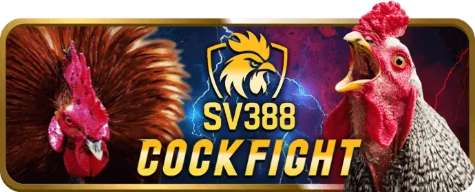 Cá cược thể thao mg188 code